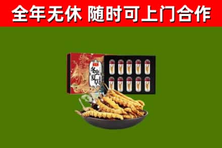 呼和浩特回收冬虫夏草价格